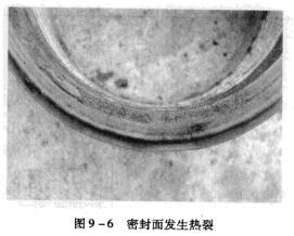 9圖9-6密封面發(fā)生熱裂.jpg