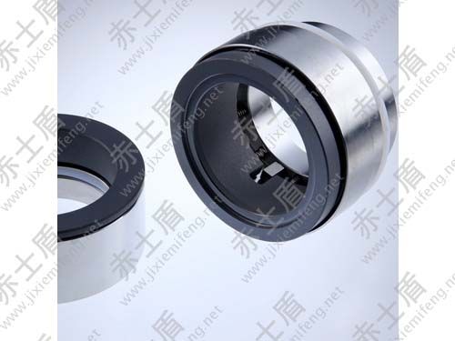 博格曼機(jī)械密封 博格曼機(jī)械密封3.jpg